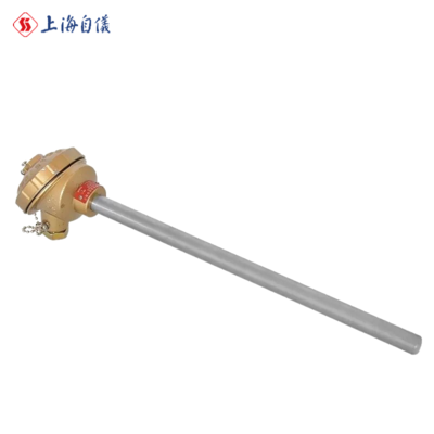 WRN-130（装配式热电偶）